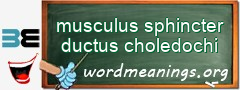 WordMeaning blackboard for musculus sphincter ductus choledochi